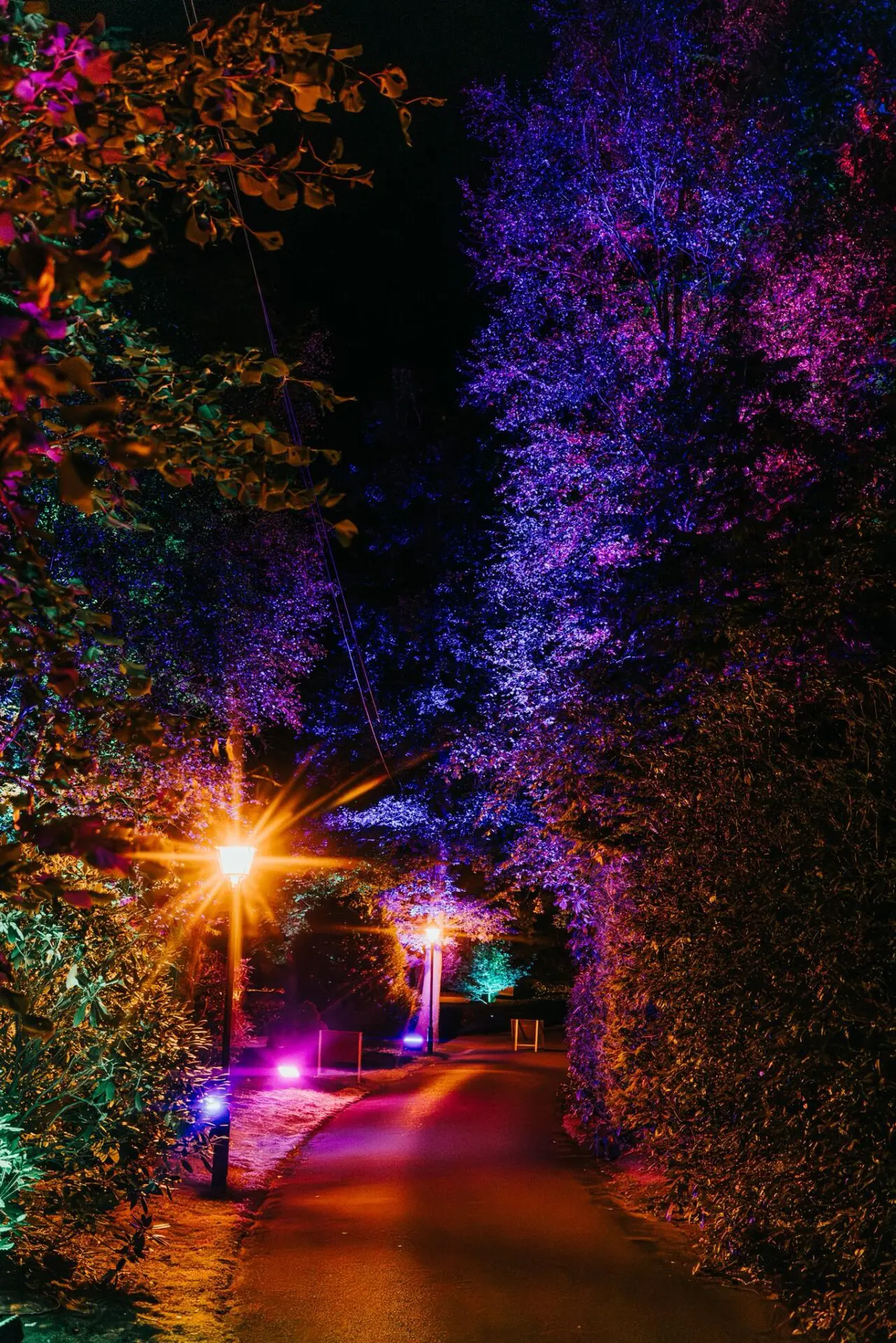 fbca5992-62a8-4508-b907-083b3a548edb