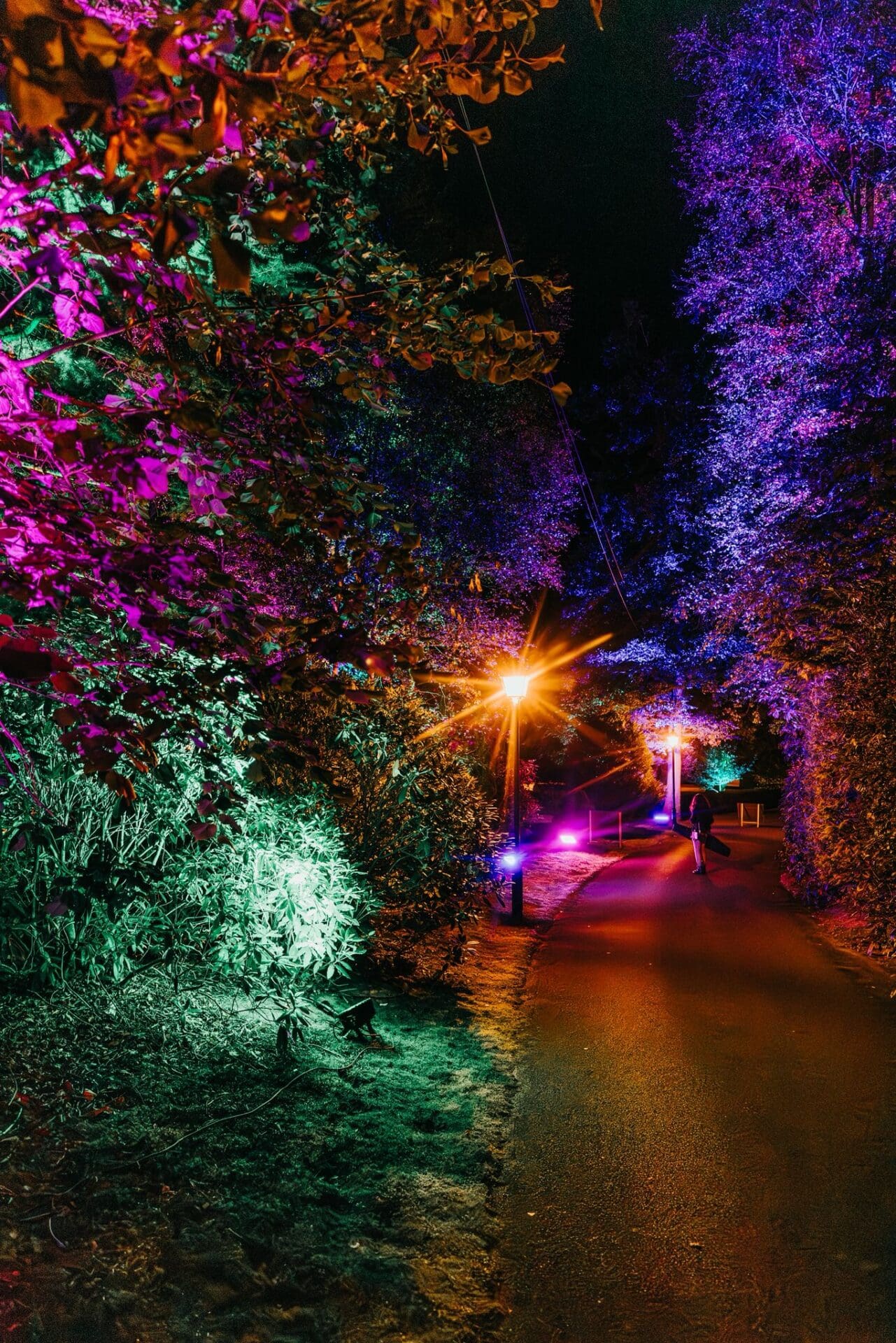 a004682a-e971-44cf-9a7f-ac092047609b 2